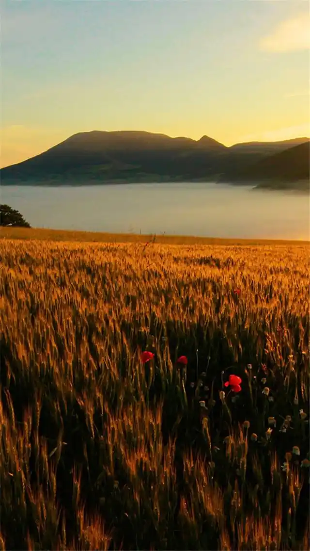 唯美自然景色宽屏风景图片手机壁纸下载