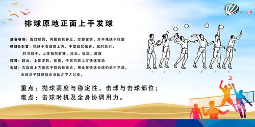 m771排球排球原地正面上手发球动作教程示意范图贴纸海报印制1058