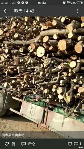 大量收购杂木树枝大柴 果木,杨木,多层板板边. - 批木网