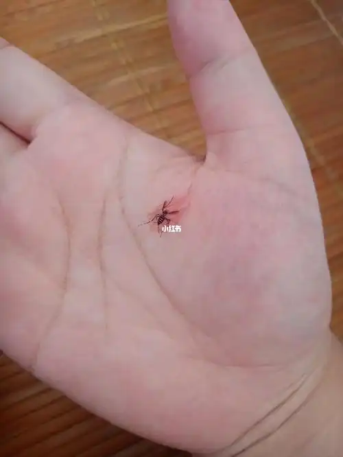 蚊子完整的被我拍死了