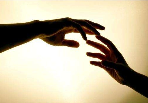 抖音伸手怕犯错缩手怕错过图片分享_抖音热门伸手怕犯错缩手怕错过