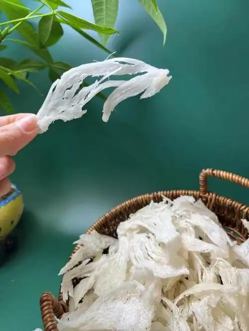 揭秘正宗燕窝一斤多少钱,价格背后的真相!