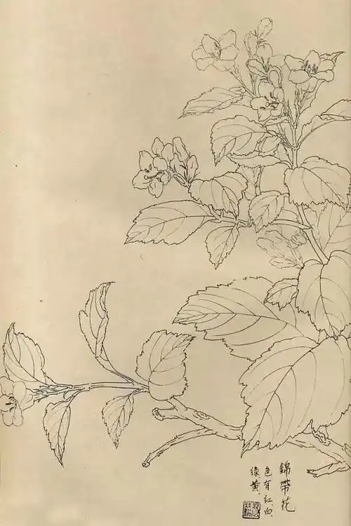 白描百花图谱大全,喜欢赶快分享!