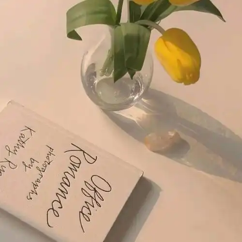 小清新朋友圈,微信背景图,ins风封面图