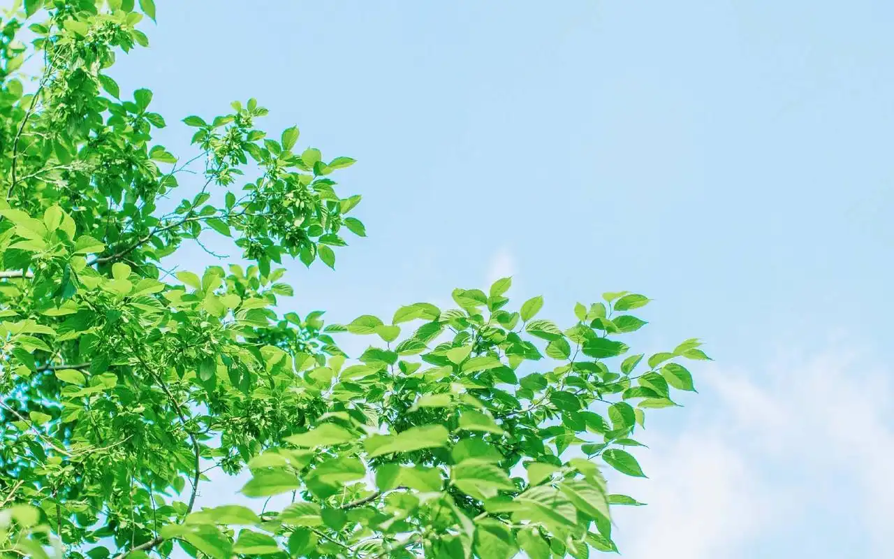 小清新蓝天白云唯美风景图片桌面壁纸