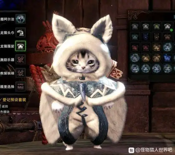 推荐两把开荒超好用的猫猫武器,还有几个可爱的猫猫套装(分别是飞雷龙