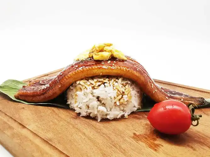 出口特级日本蒲烧日式鳗鱼寿司料理整条500g鳗鱼