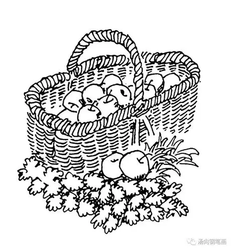 学钢笔画231水果篮子好有味道