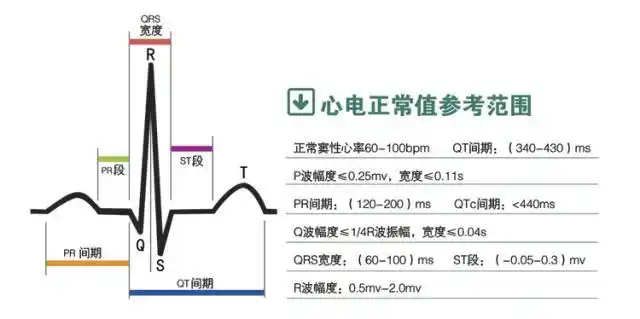 益体康hc-201便携式心电图机标准版家用心电监测仪(监护仪)正品