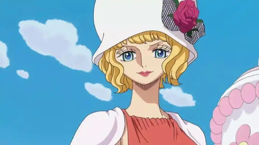 海贼王中世界政府为何派出史翠西去蛋糕岛原因只有这四个