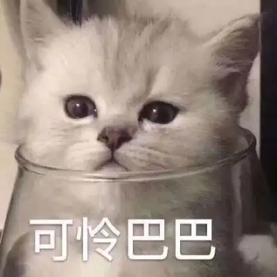 可怜巴巴的猫咪