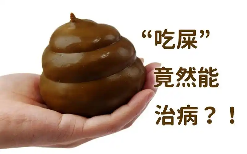 飞碟一分钟一分钟告诉你吃屎竟然能治病