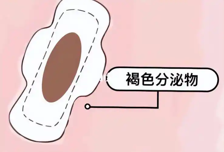 女性_滴虫性_真菌