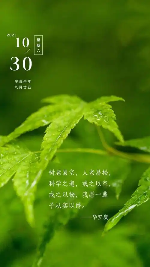 正能量早安心语图片带文字坚持是生命的一种毅力