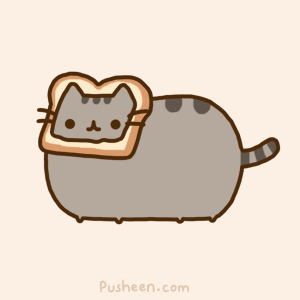 名字:pusheen