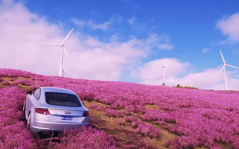 地平线4,夏季风景打卡地,steam游戏