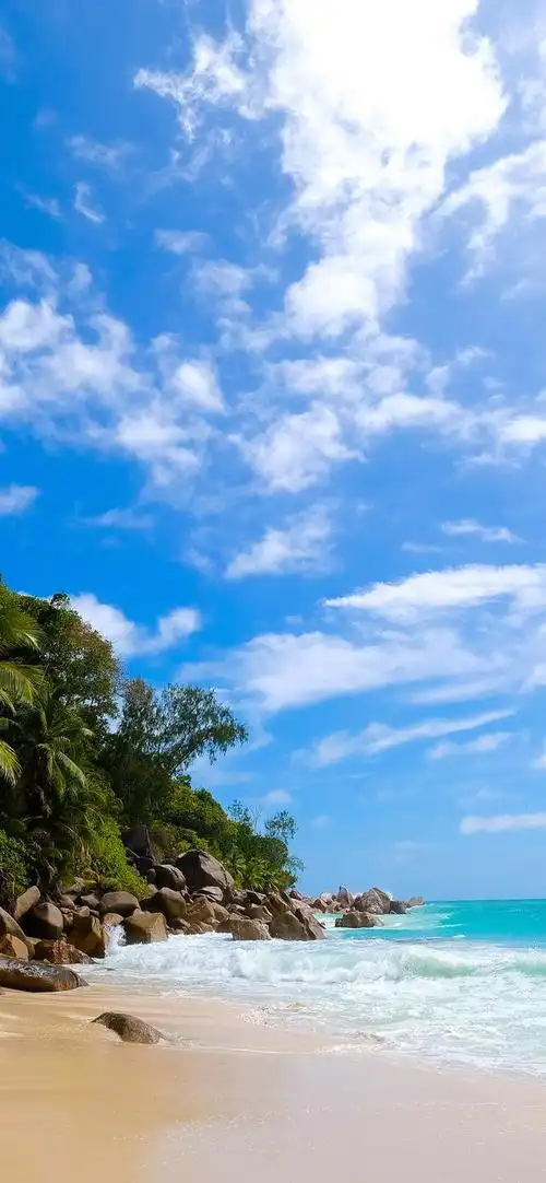 唯美风景背景图,唯美图片景色背景(优美风景壁纸)