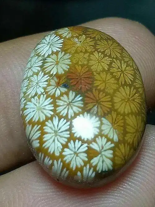 菊花纹(雏菊纹)柠檬片纹虫纹凤纹蕾丝花纹彩色赞比花纹j先生说:石英质