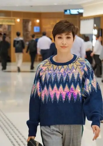 陈法蓉还是大胆,穿卫衣暴露身材,又矮又胖的!_手机搜狐网