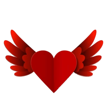 红色翅膀
