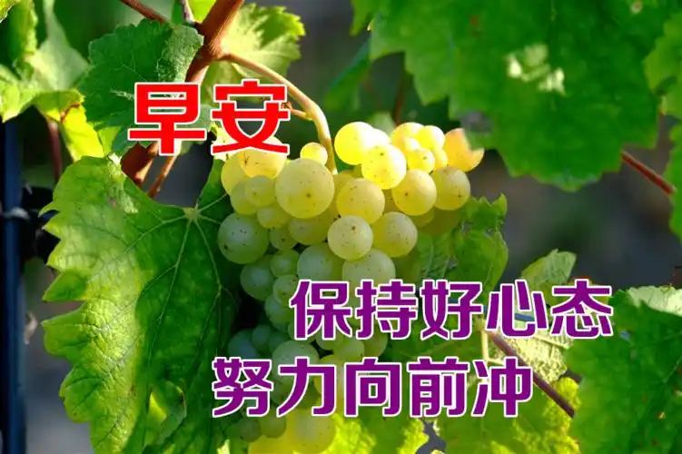 6月28日最漂亮早上好动态表情图片大全早上好动图美图大全