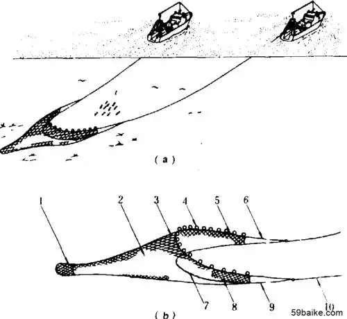 渔法 根据渔船甲板布置特点, 双船拖网作业可分前