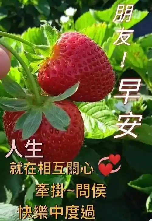 9张最新创意漂亮的早上好祝福图片带字温馨 2023唯美夏天早安问候祝福