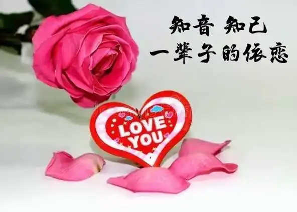 也会被看成可爱,不爱你的人,哪怕你说想吃根黄瓜,都会说你嘴馋,这就是