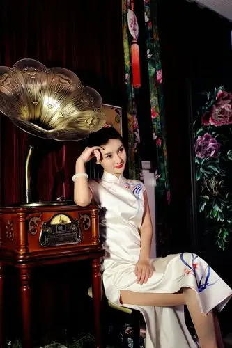 《花样年华》旗袍装