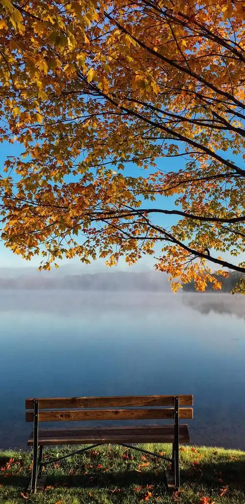 宁静的秋景美不胜收,锁屏图片,高清手机壁纸,风景-回车桌面