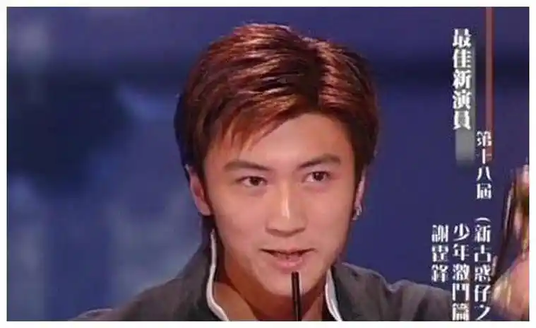 还债被嘘铁窗泪谢霆锋一曲终结四大天王却差点毁谢贤手里