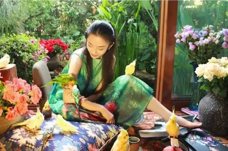 原创中国顶级舞者杨丽萍41年不剪指甲晚年被质疑过着慈禧般的生活