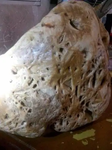 用打火烧起有松脂香味,请问这是松脂化石吗?