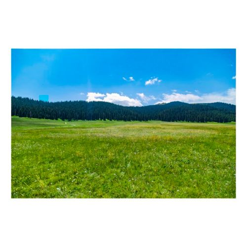 新疆草原森林自然风景画海报制作客厅房间酒店贴画墙画23