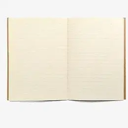 翻开的书页填写笔记