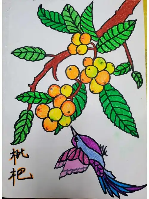 儿童简笔画打卡d31天枇杷熟了