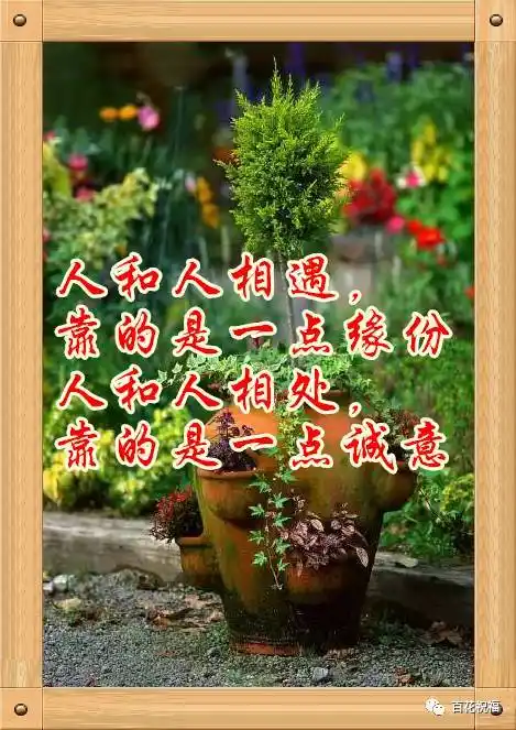 早上好今天周末献给此生遇到的真心朋友