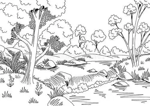 森林的黑白简笔画