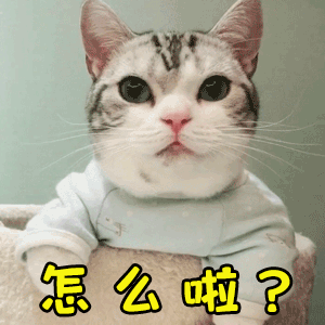 情侣日常聊天段子秀场表情包你若安好便是晴天还能这样玩