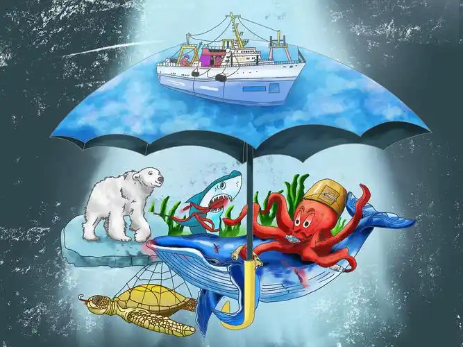 发现环保之美——还海洋一个家