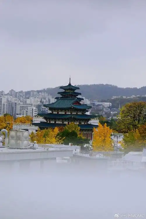 首尔旅行,9693领略韩国多元文化在热闹繁华的首尔,有很多值得打卡