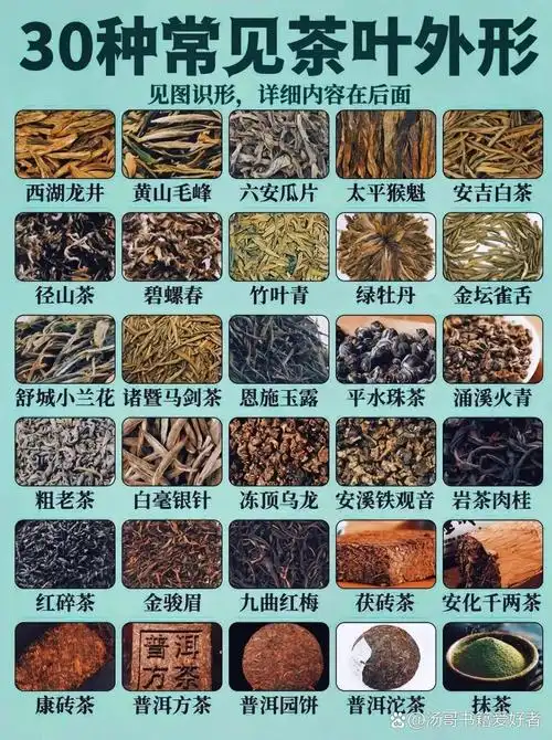 🔥30种茶叶外形大揭秘!你认识几种?🤔 🍵你们能猜出几种呢?
