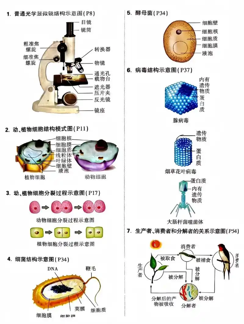 初中生物重点结构图.初中生物重点结构图,生物学中考复习,快来 - 抖音