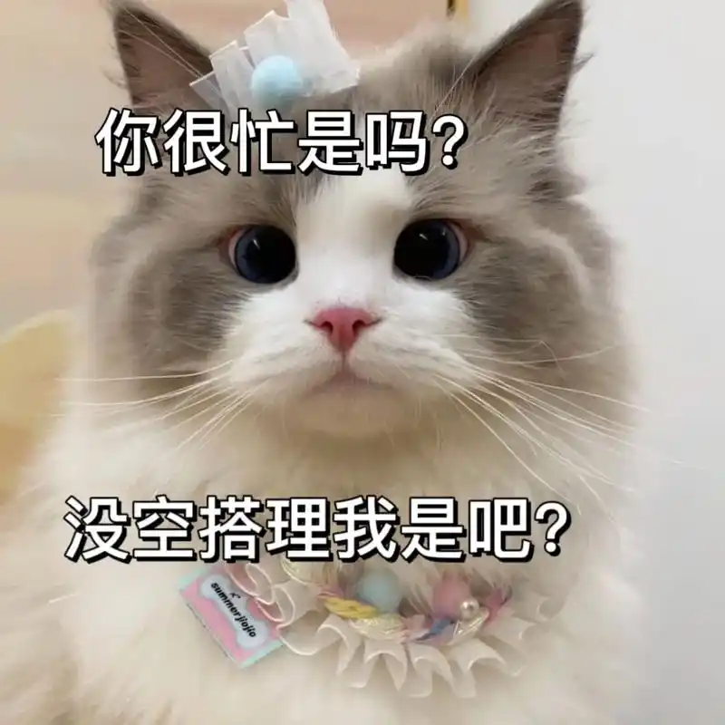 你很忙是吗.#小猫表情包#猫咪表情包#发给对象表情包###表 - 抖音