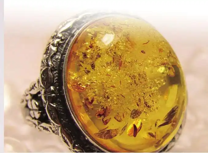 最珍贵的宝石之一琥珀的简单介绍