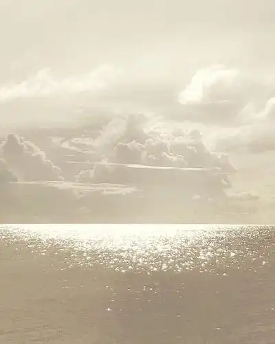 a苏瓷-  发布到  背景图 图片评论 0条  收集   点赞  评论  唯美意境