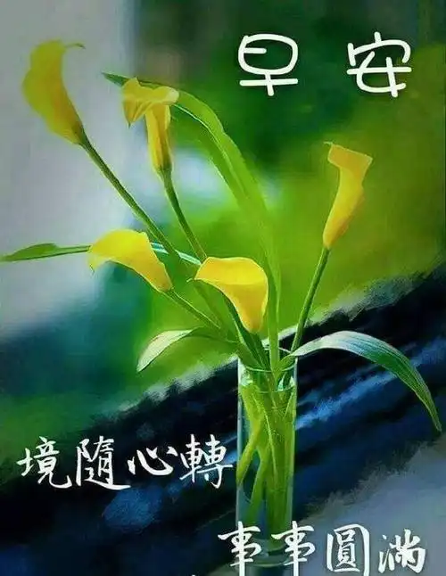 清晨送朋友最暖心的早安祝福短句,早上最美的问候表情图片