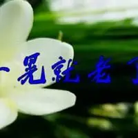 一晃就老了图片带字_微信头像图片大全