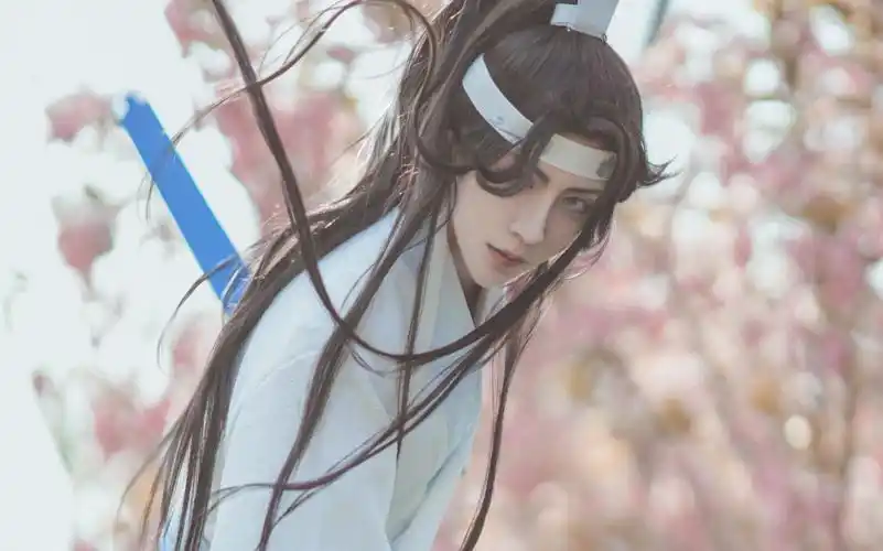 魔道祖师蓝思追剑中肝胆弦中意