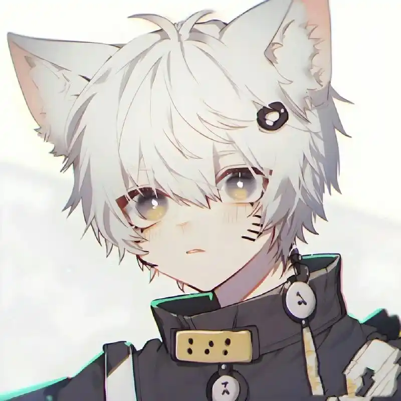 二次元白狐狸少年头像.自行拿图.